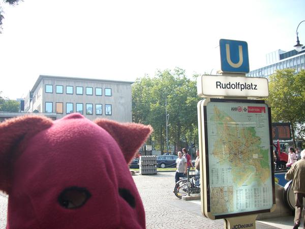Rudolf in Köln3